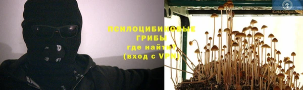 ECSTASY Зеленодольск