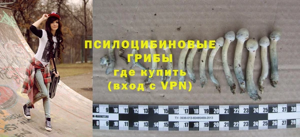 ECSTASY Зеленодольск